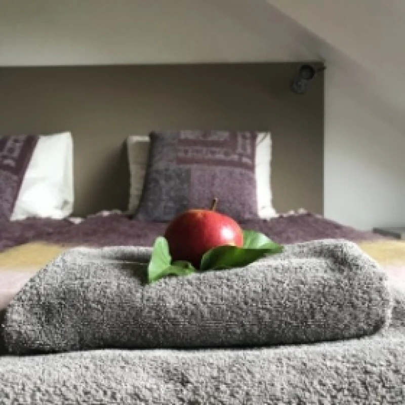 Kamer met eigen sanitair